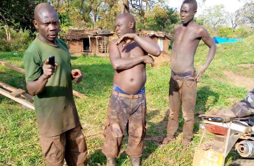 TENSIONS OVER BUGOMA FOREST DEPLETION INCREASE AS FORCES FROM HOIMA SUGAR FACTORY AND NFA FIGHT OVER ILLEGAL LOGGING