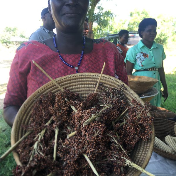 INTERNATIONAL DAY OF RURAL WOMEN: AMPLIFYING RURAL WOMEN’S VOICE